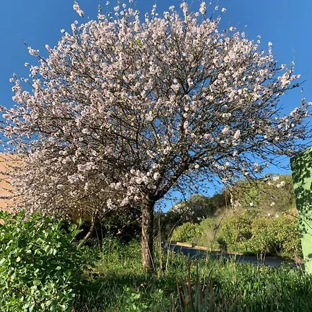 Tatil Evi El Sosiego, Der Rueckzugsort *