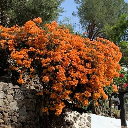 El Sosiego, Der Rueckzugsort Tatil Evi